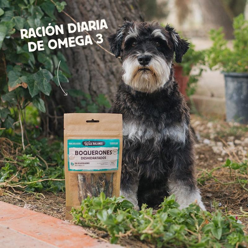 Snack natural Wild Balance Anchovas Desidratadas 40 g