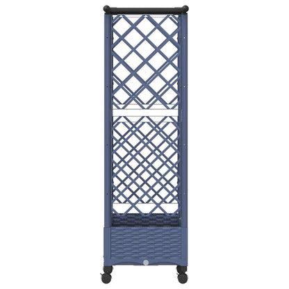 Cama Elevada Con Trellis Y Techo Gris 124 X 40 X 127 Cm Pp_3