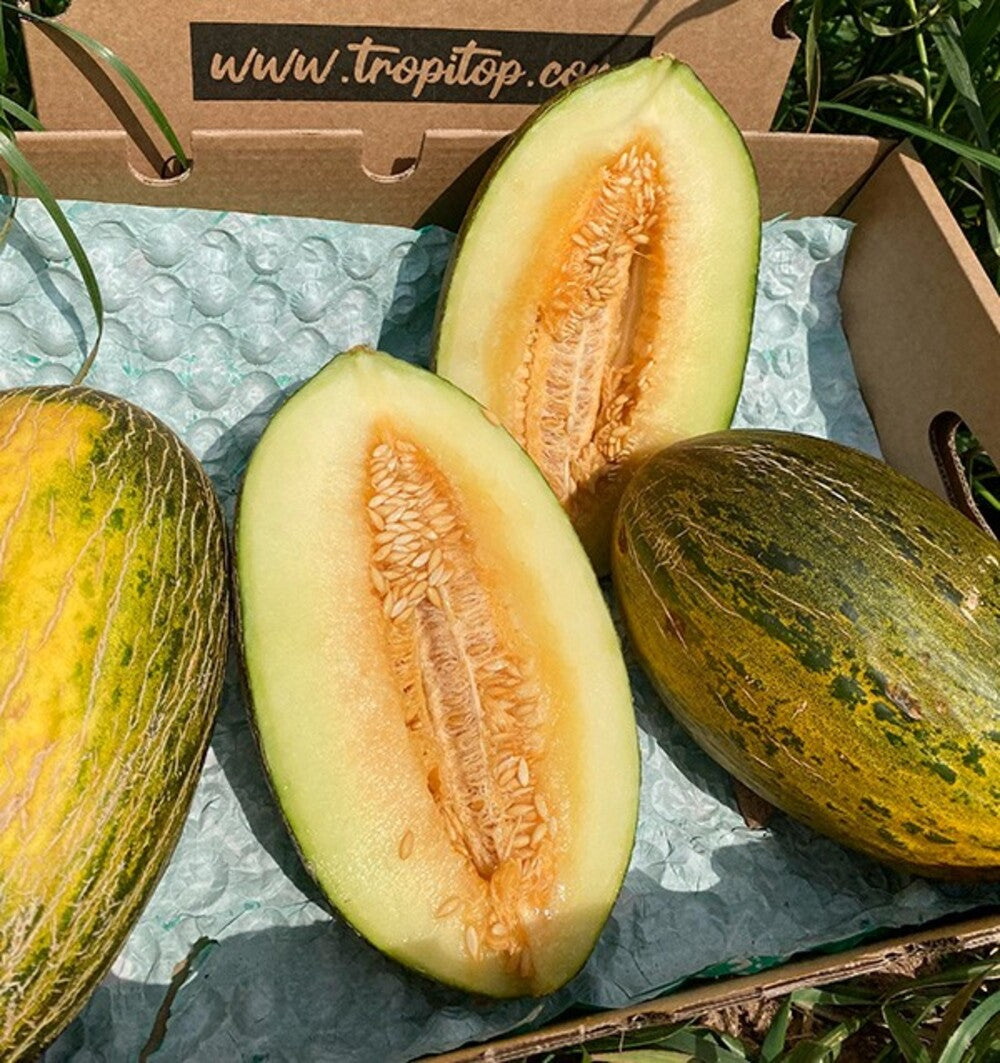Caja De Melón Piel De Sapo Tropitop Caja De 3 Unidades (aprox. 10 Kg )_2
