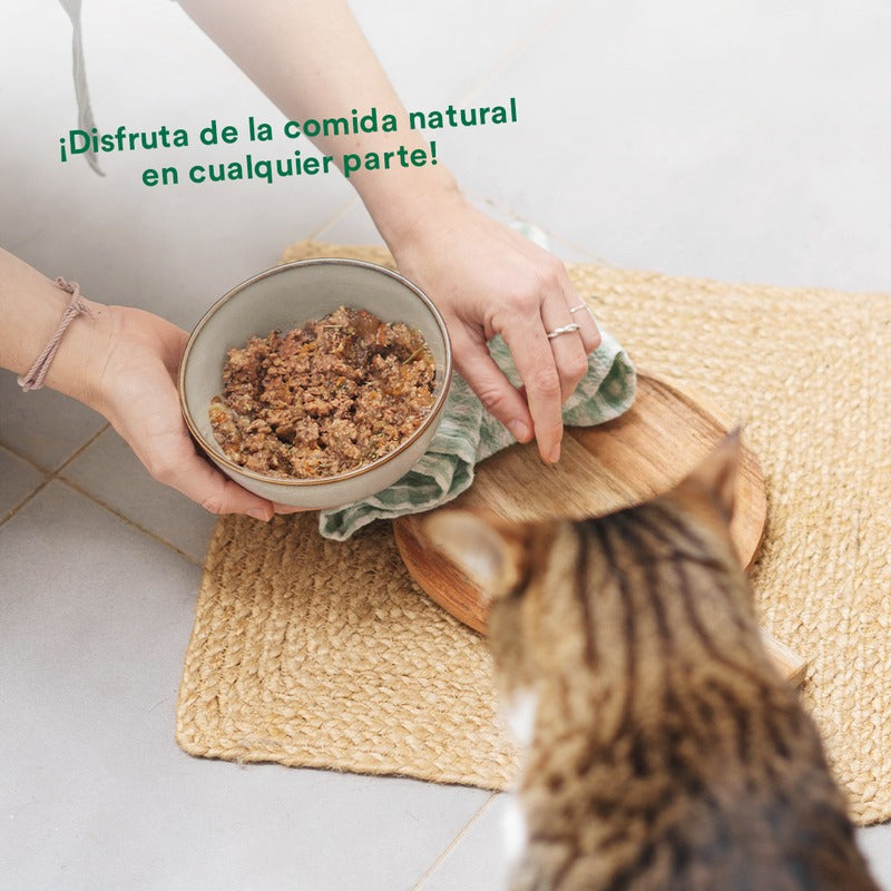 Wild Balance porco e vegetais BARF lata para gatos 120 gr