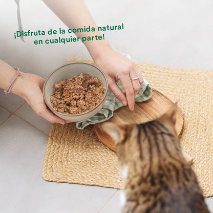 Wild Balance porco e vegetais BARF lata para gatos 120 gr