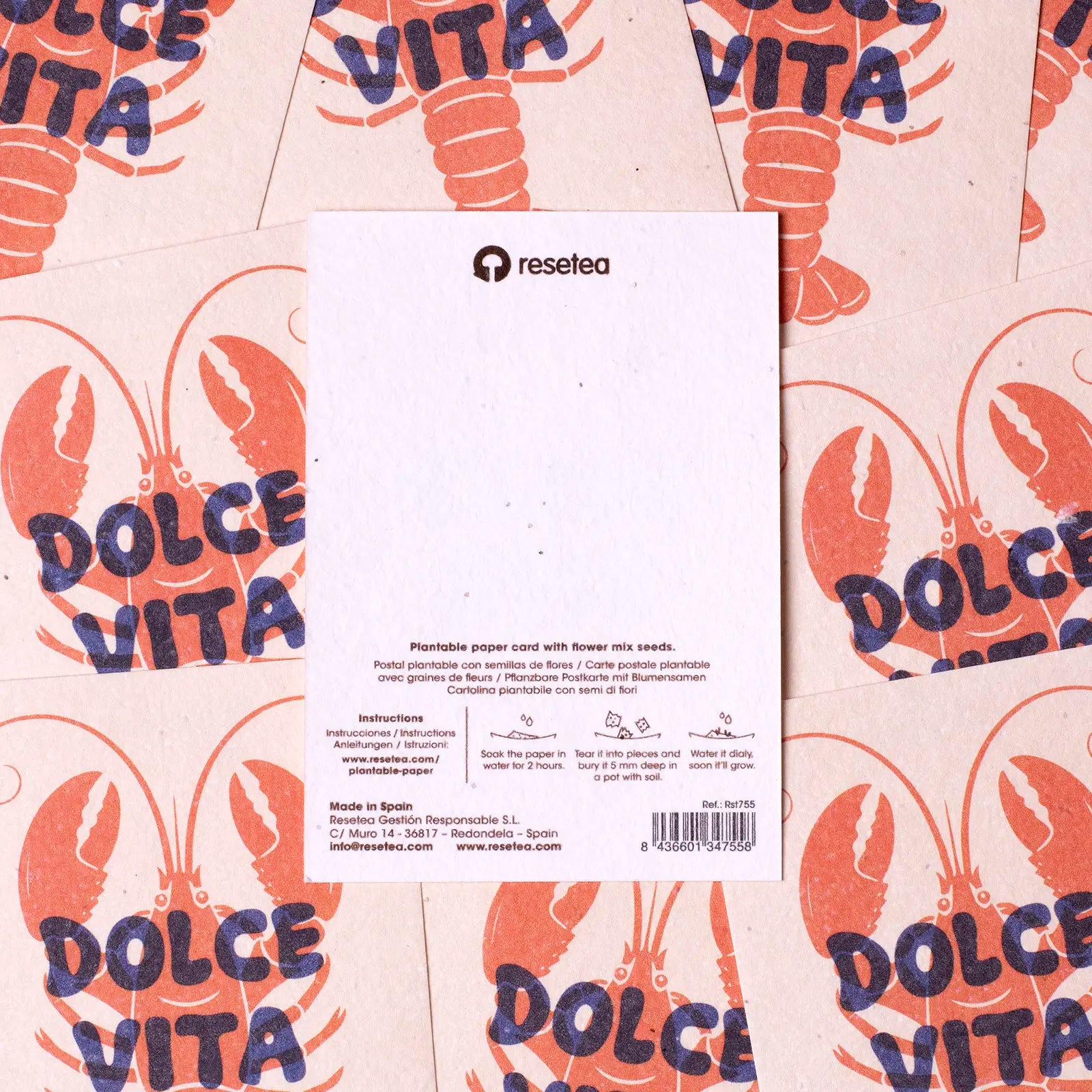 Postal Plantable - Dolce Vita_3