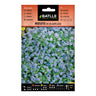 Sementes de Batlle Alpine Myosotis