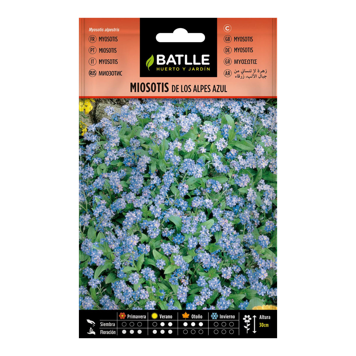 Sementes de Myosotis Alpina, azuis
