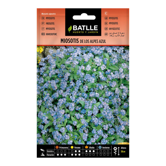 Sementes de Myosotis Alpina, azuis