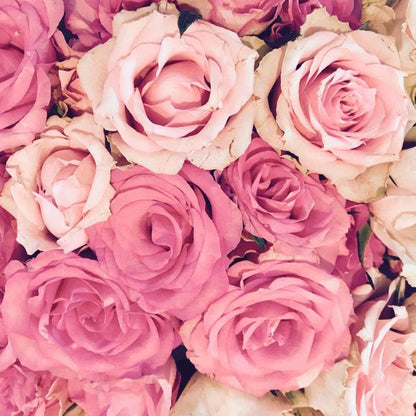 Lámpara Catalítica Mosaico Blanco + Aroma Bed Of Roses 500ml - Elimina Malos Olores, Impurezas Y Perfuma_3