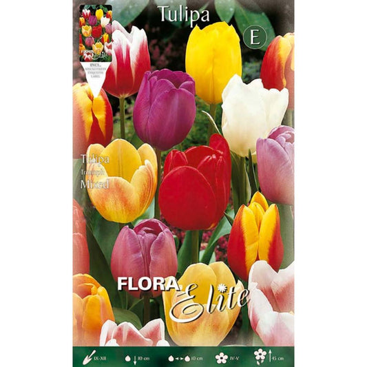 Bulbos de Tulipa Darwin Elite Mix 10 unidades