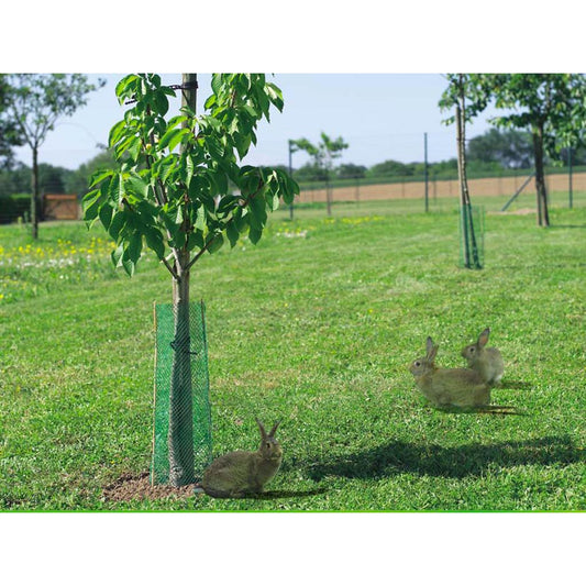 Tela de proteção contra roedores Treeguard Nortene 10 unidades
