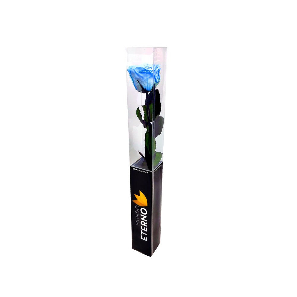 Mundo Eterno Rosa Preservada Azul Claro 55cm_1