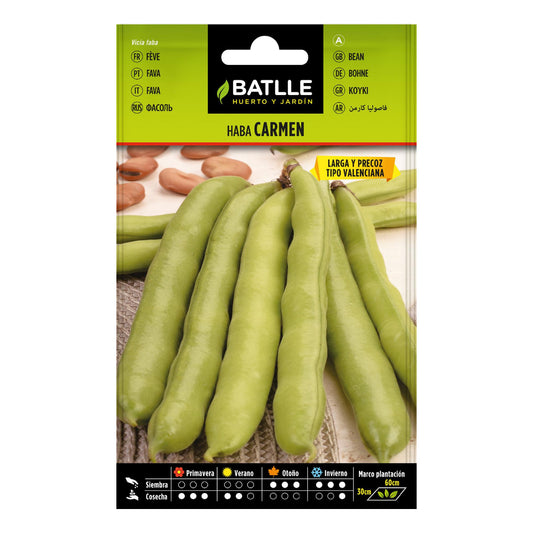 Sementes de Fava CARMEN 250 g
