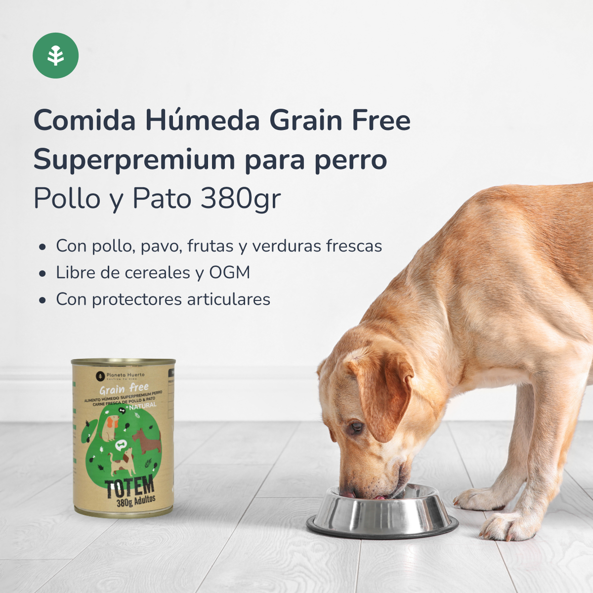 Embalagem de 6 rações húmidas superpremium sem cereais para cães, frango e pato, 380 g, Planeta Huerto