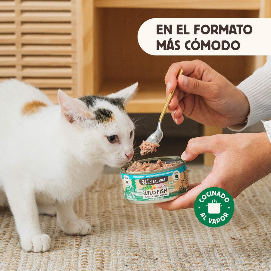Wild Balance Fish and Turkey BARF Ração enlatada para gatos 6x120g