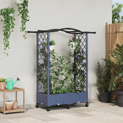 Cama Elevada Con Trellis Y Techo Gris 124 X 40 X 129 Cm Pp_1