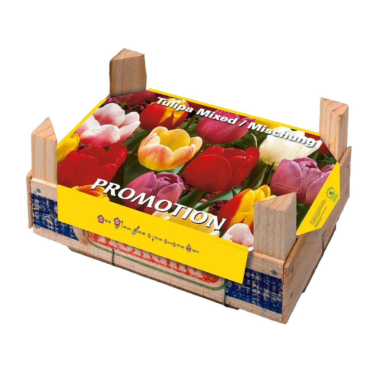 Caixa Tulipa Tray 50 unidades