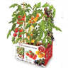 Jardim de Tomates Cereja Premium