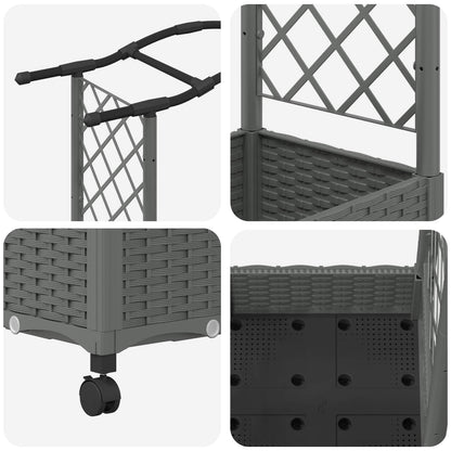 Cama Elevada Con Trellis Y Techo Gris Claro 207 X 40 X 129 Cm_5