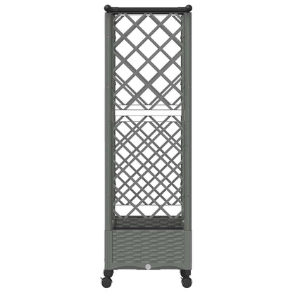 Cama Elevada Con Trellis Y Techo Gris Claro 122,5 X 40 X 127 Cm_4
