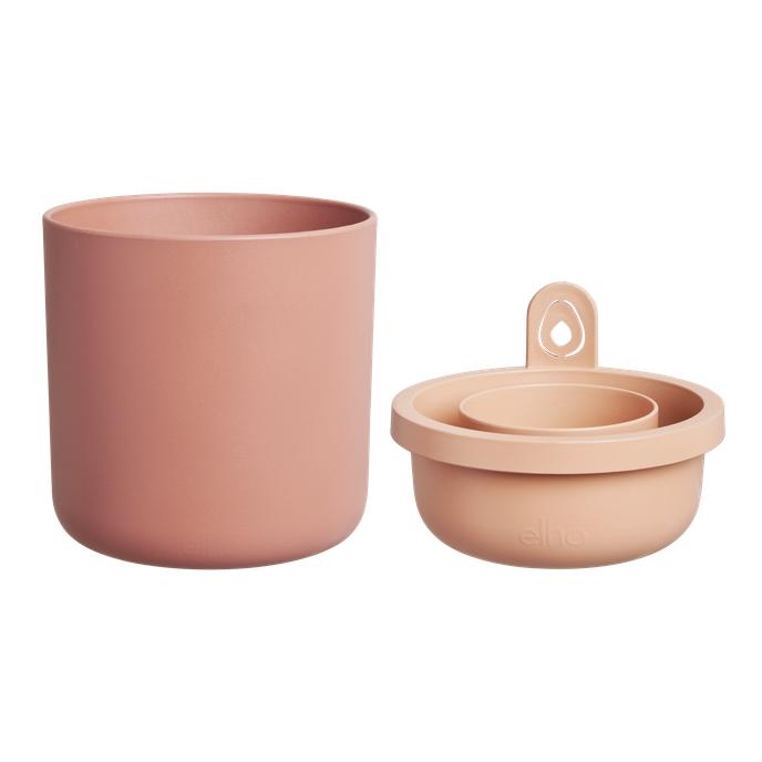 Incrível Abacate Elho Terra Abacate Germinante Pote
