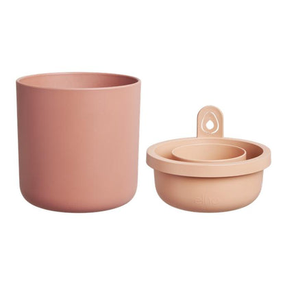 Incrível Abacate Elho Terra Abacate Germinante Pote