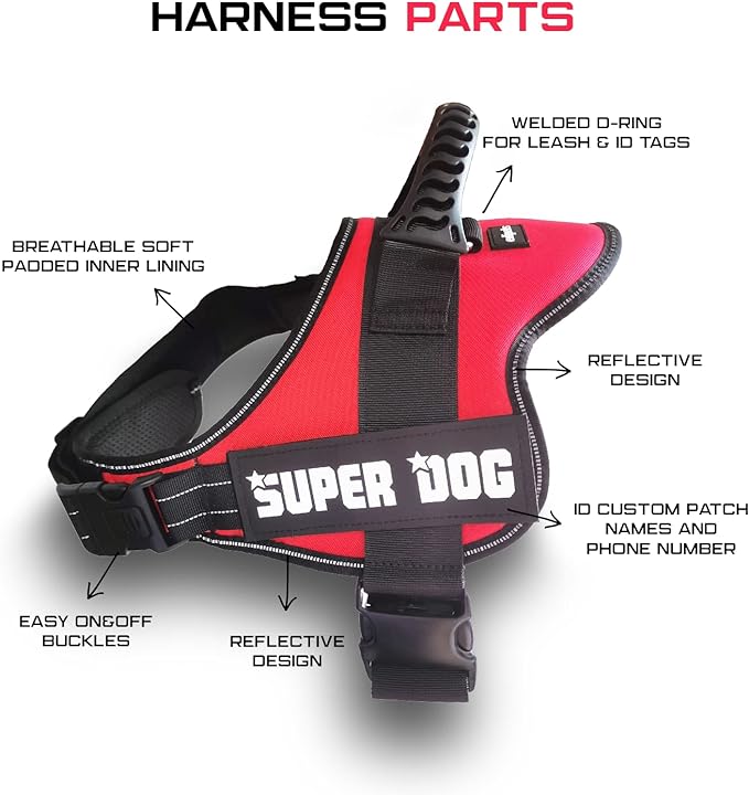 Edipets Arnés Para Perro Antitirones, Ajustable Y Personalizable_1