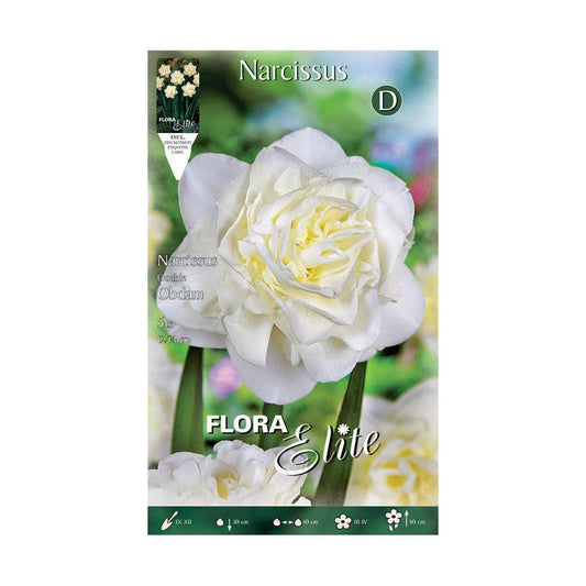 Elite Double White Narcissus Bolbos 5 unidades