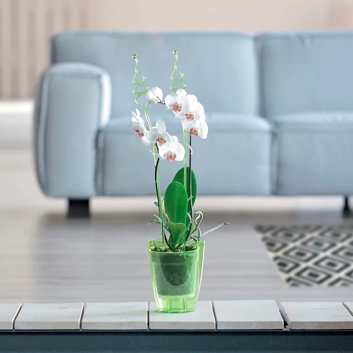 Maceta Coubi Orchid 2,4l., Dimensiones (mm) 160x160x183, Color Transparente