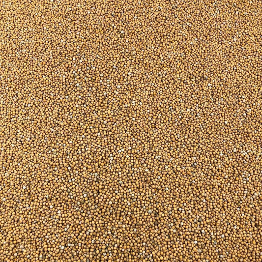 Semillas De Mostaza Amarilla Orgánica A Granel 1 Kg_0