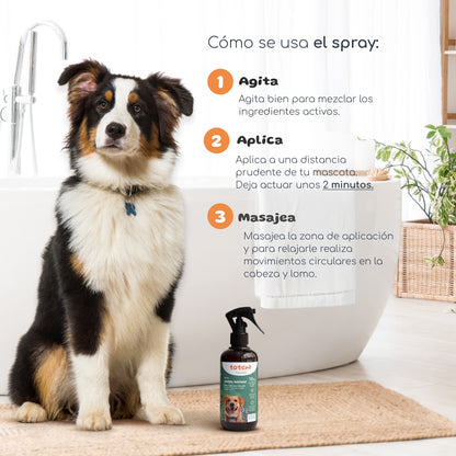 Spray repelente natural para cães Totem Naturals 250 ml