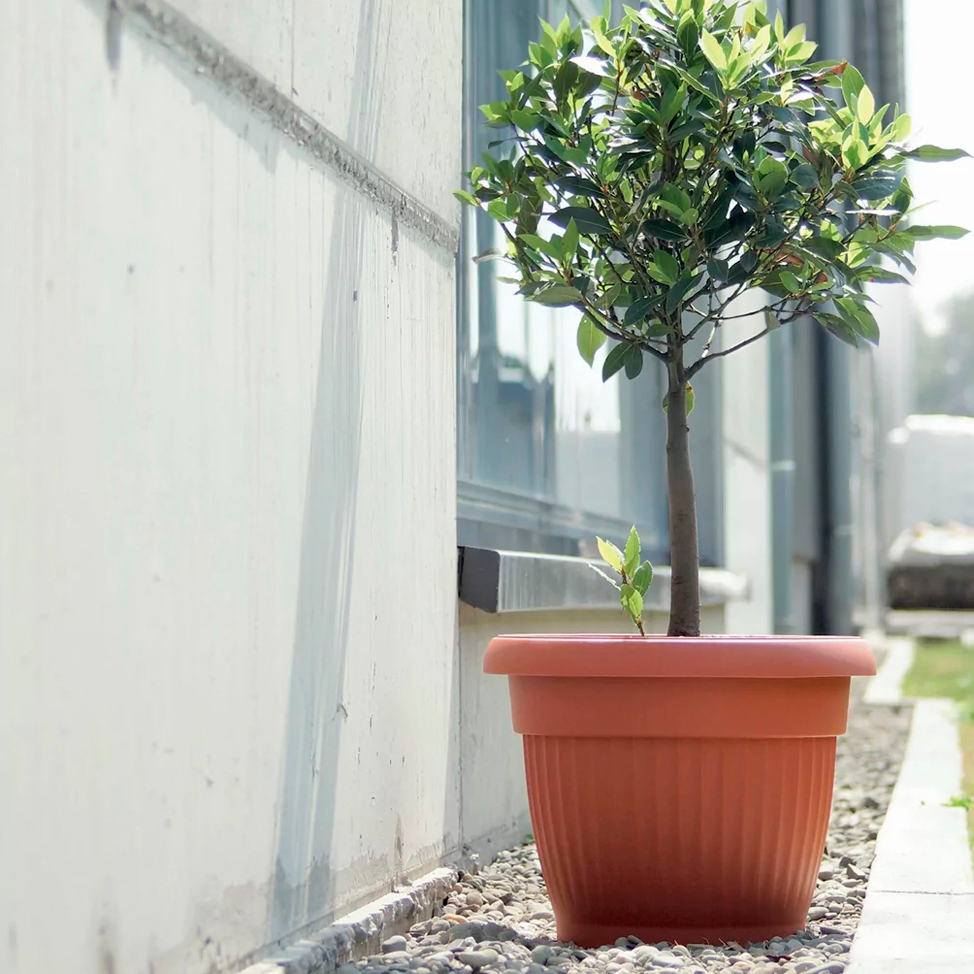 Maceta Terra 0,7l., Dimensiones (mm) 130x130x100, Color Terracota