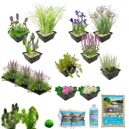 Pack Completo Estanque Multi 1.500-3.000l - Oxigenantes & Ribera - 253 Uds_2