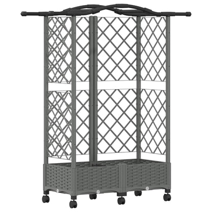 Cama Elevada Con Trellis Y Techo Gris Claro 124 X 40 X 129 Cm_0