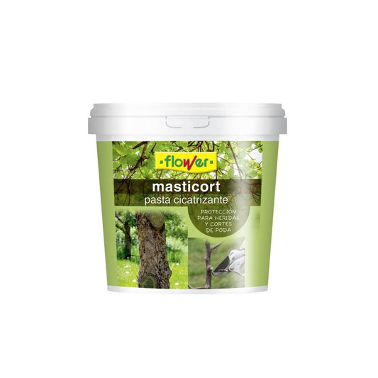 Pasta Cicatrizante Masticort 1 kg Flor