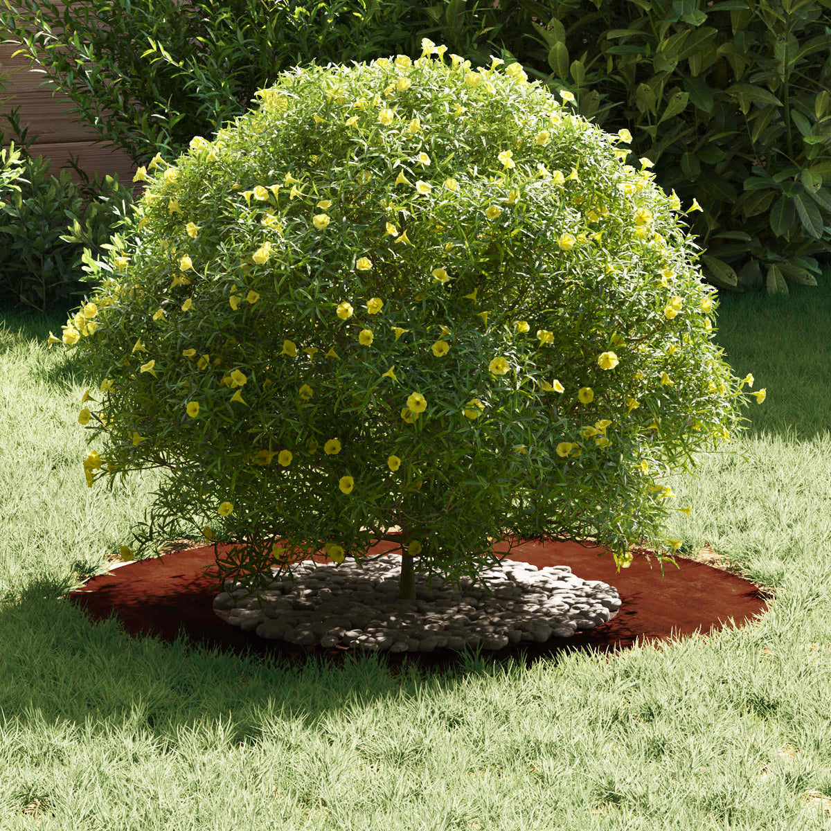 Adecuado Para Anillo De Árbol Plano Oxidado Ø40/70 Cm_2