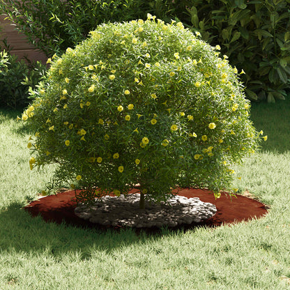 Adecuado Para Anillo De Árbol Plano Oxidado Ø40/70 Cm_2