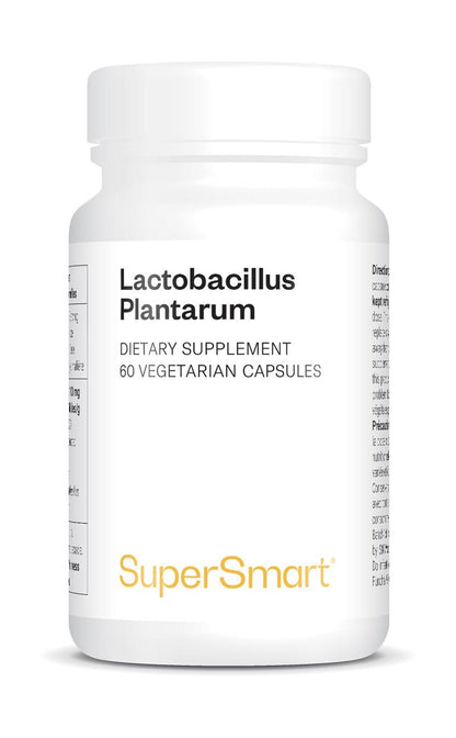 Lactobacillus Plantarum_0
