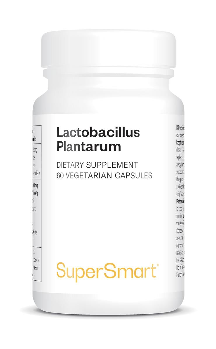 Lactobacillus Plantarum_0