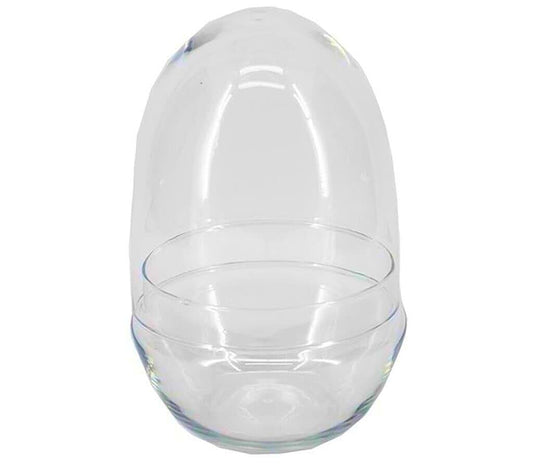 Terrario De Cristal Con Base D10.5/21 H23.5cm Con Tapa De Corcho_0