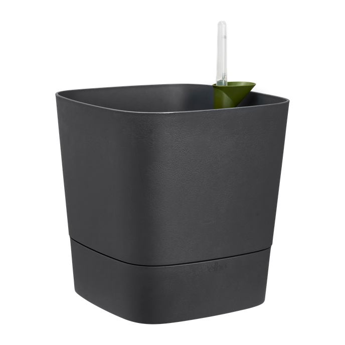 Greensense Aquacare Square Elho vaso auto-irrigável 30 cm cinzento carvão