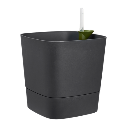Greensense Aquacare Square Elho vaso auto-irrigável 30 cm cinzento carvão