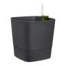 Greensense Aquacare Square Elho vaso auto-irrigável 30 cm cinzento carvão