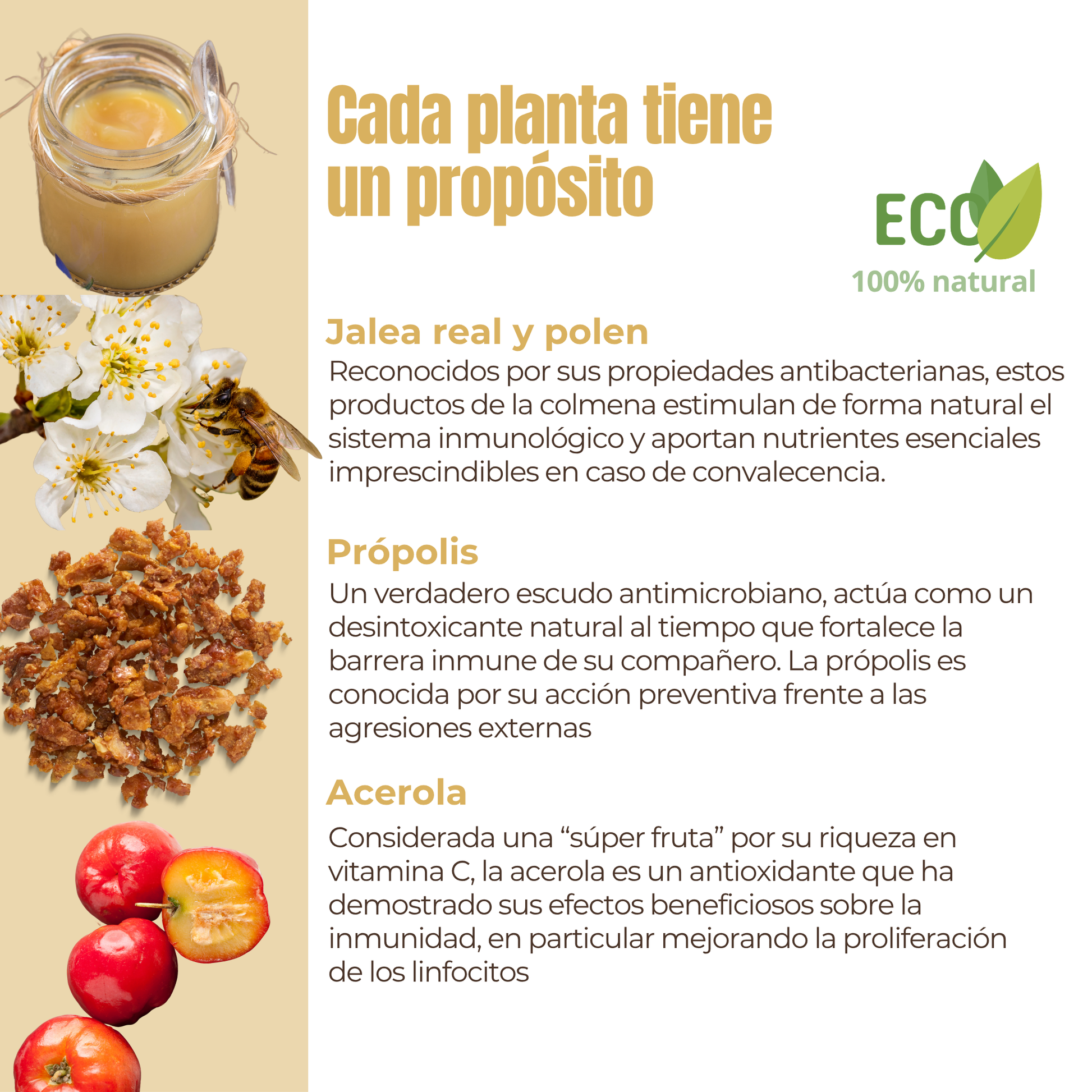 Suplemento natural para las defensas y la vitalidad de perros y gatos – ECO 100 g_2