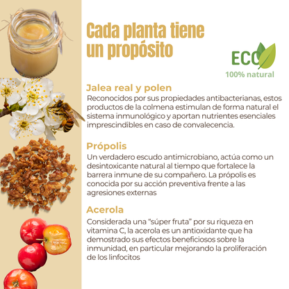 Suplemento natural para las defensas y la vitalidad de perros y gatos – ECO 100 g_2
