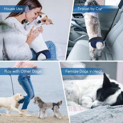 Fraldas para cães, calças protetoras laváveis ​​com 3 pensos higiénicos, roupa interior higiénica Nobleza tamanho M 