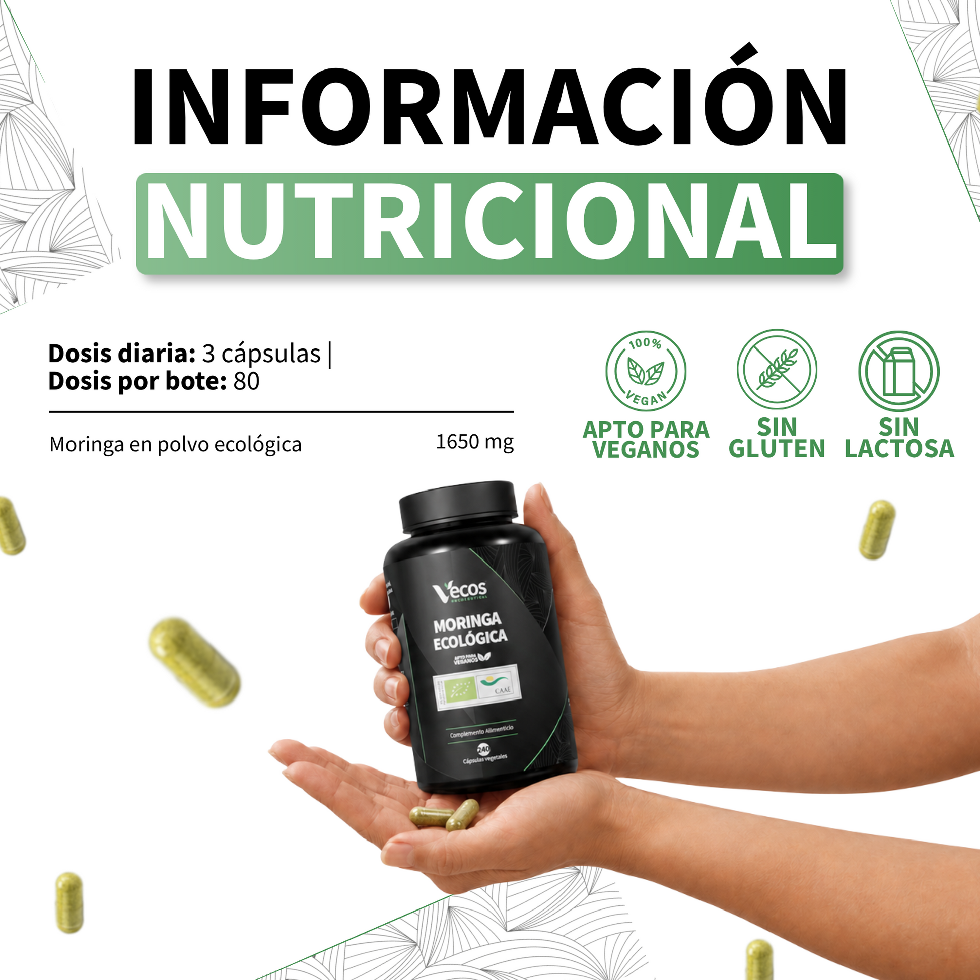 Moringa Ecológica 1650 Mg Vecos 240 Cápsulas | Energía, Defensas Y Antioxidante | Superalimento 100% Hoja_5