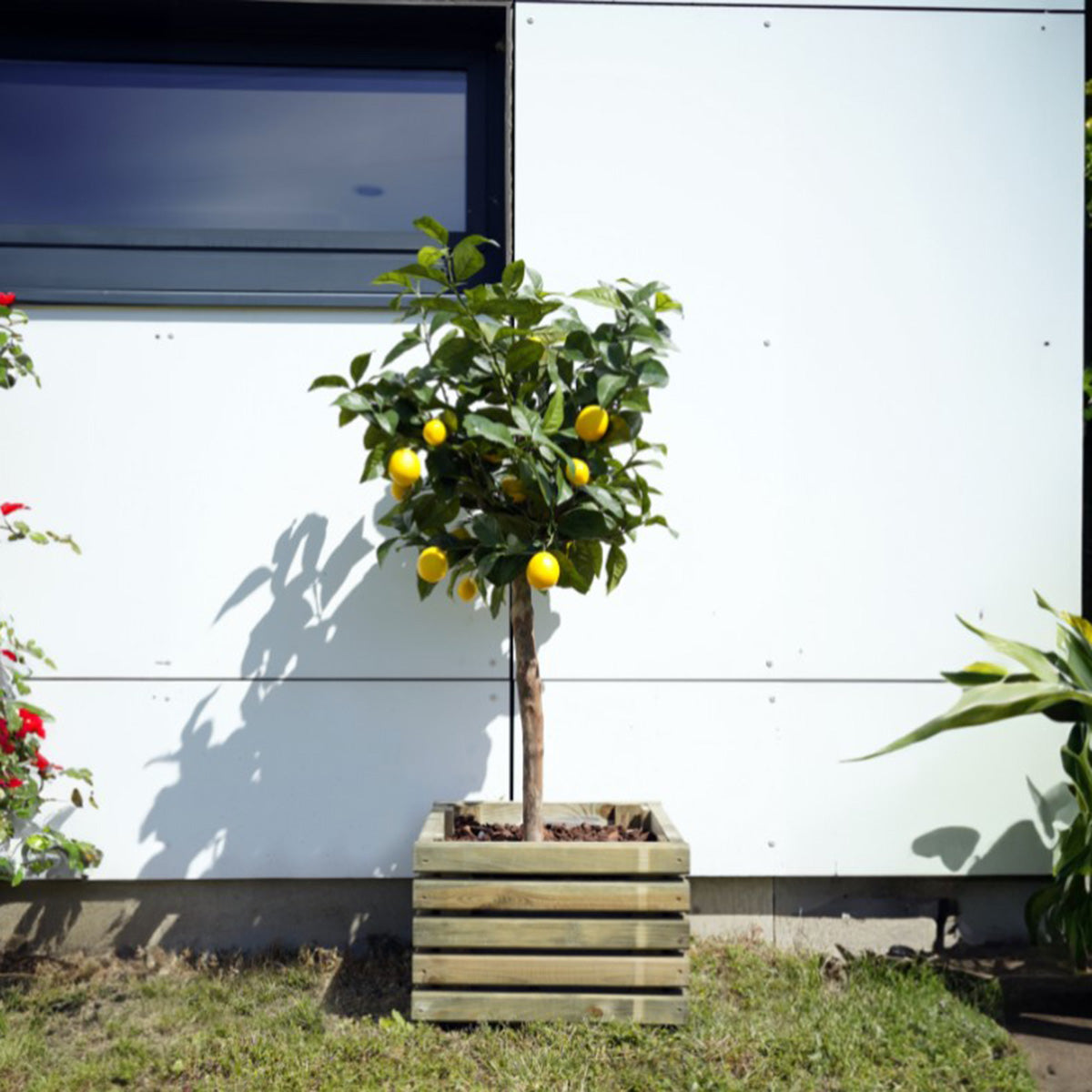 Vaso de madeira quadrado Kub 40 cm 30 L