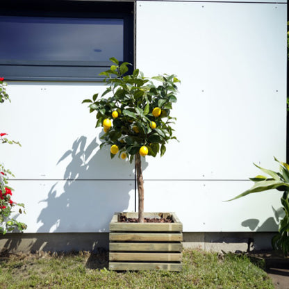 Vaso de madeira quadrado Kub 40 cm 30 L