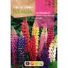 Sementes de flores de tremoço, variadas