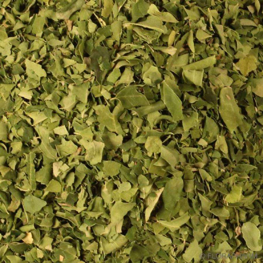 Hojas De Moringa Orgánica Granel 0,05 Kg_0