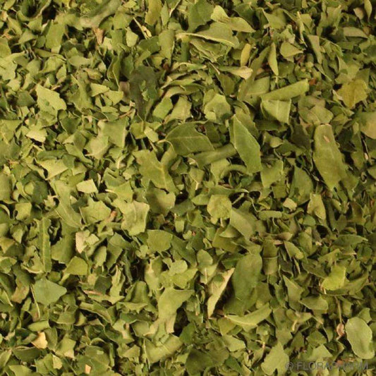 Hojas De Moringa Orgánica Granel 0,25 Kg_0