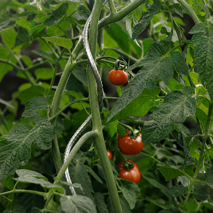 Tutor Tomate Spiral 1.80 M Nortene_3